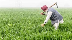 नए साल पर आएगी PM Kisan योजना की 10वीं किस्‍त, 12 करोड़ किसानों के खातें पहुंचेगी रकम