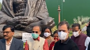 Aap aaye bahaar aayi, Sanjay Raut, Rahul Gandhi, Congress leader, Protest of suspended MPs, parliament