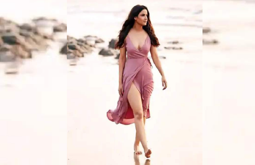 बिग बॉस के अलावा जैस्मिन भसीन खतरों के खिलाड़ी में भी नजर आ चुकी हैं। जैस्मिन ने दिल से दिल तक से अपनी पहचान घर-घर में बना ली थी।