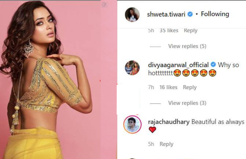 राजा चौधरी ने श्वेता की इस तस्वीर पर लिखा है-हमेशा से खूबसूरत (Beautiful as always)।