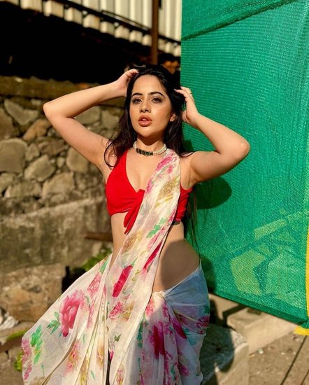 उर्फी ने साल 2016 में सोनी टीवी के शो बड़े भइया की दुल्हनिया से अपना डेब्यू किया था। उसके बाद वह चंद्र नंदिनी और मेरी दुर्गा में नजर आईं।
