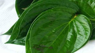 betel leaf
