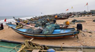 cyclone, jawad, state news