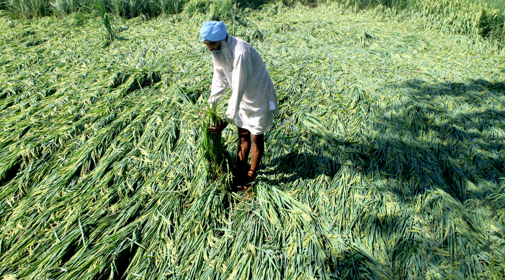 farmer, agriculture minister, india news