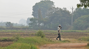pm kisan, farmer, utility news