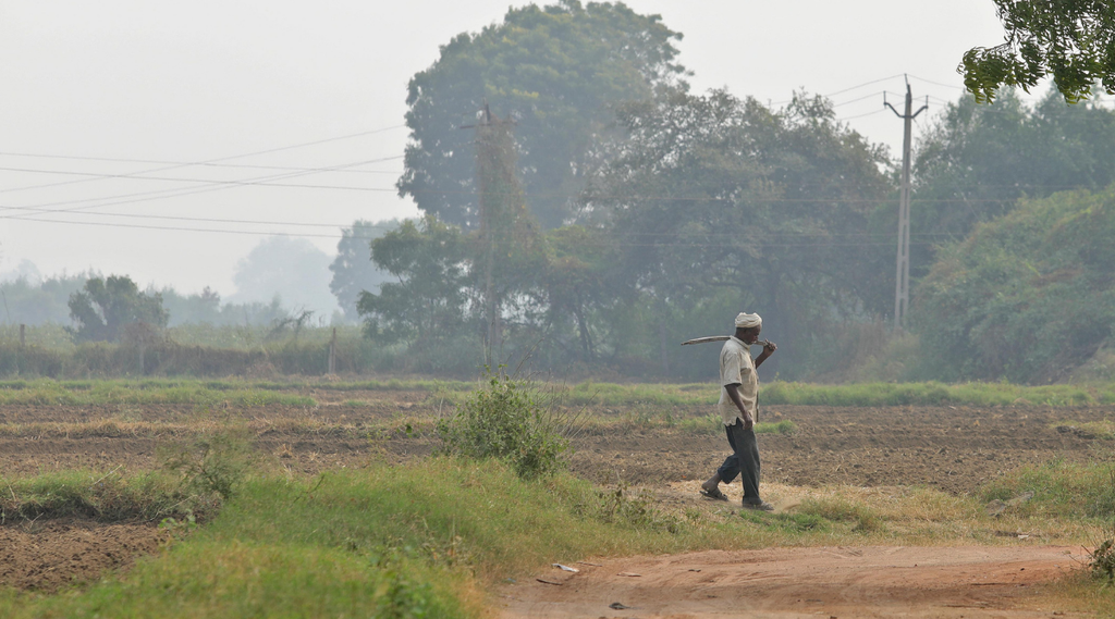 pm kisan, farmer, utility news