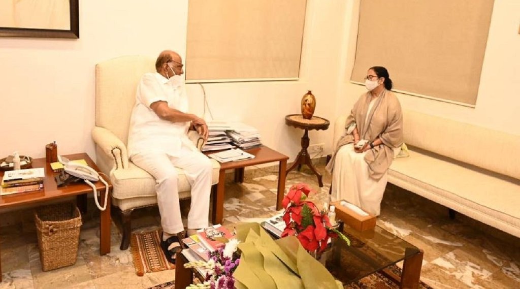 mamata meets sharad pawar