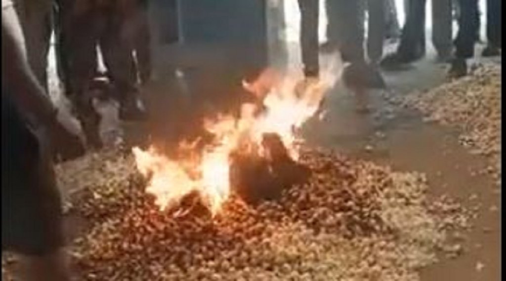 mandsaur farmer fire