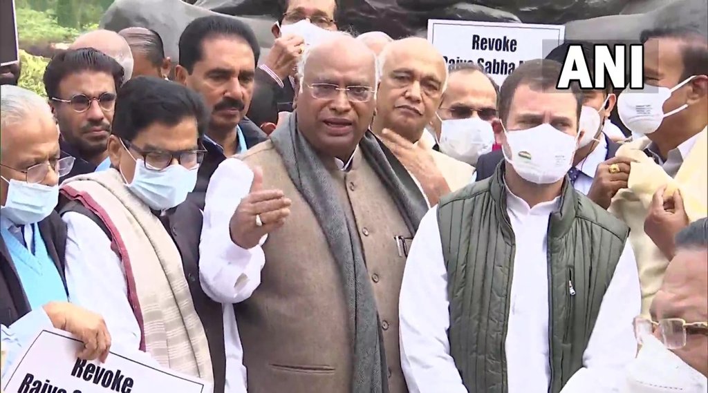 संसद भवन में प्रदर्शन के दौरान राहुल गांधी। फोटो- एएनआई