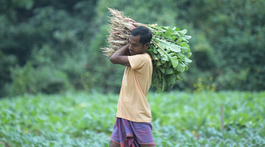 pm kisan, farmer, utility news