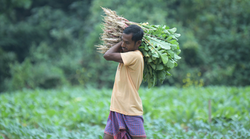 PM Kisan की 9वीं किस्त से चूकने वाले पा सकते हैं दोहरा लाभ, पर 10वीं इंस्टॉलमेंट से पहले जरूर कर लें ये काम