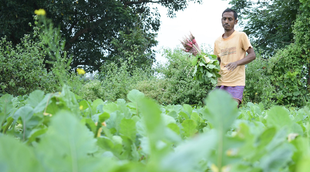 pm kisan, utility news, jansatta news