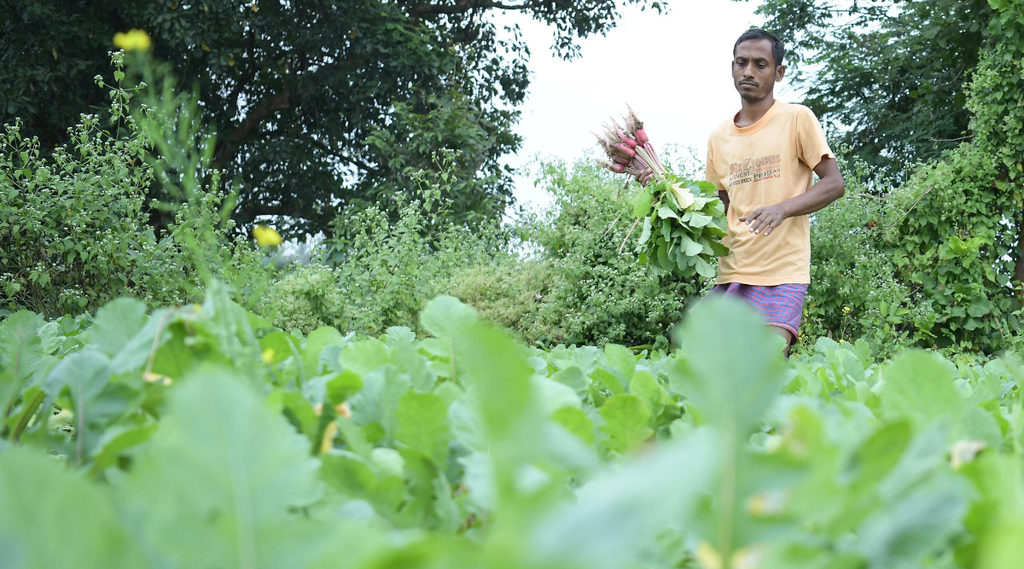 pm kisan, utility news, jansatta news