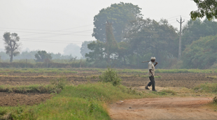 pm kisan, new delhi, utility news