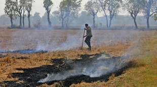 pm kisan, utility news, india news