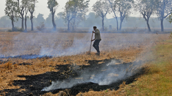 PM Kisan का दुरूपयोग तो नहीं हो रहा? इस बात की निगरानी करती है मोदी सरकार; कृषि मंत्री ने स्कीम को लेकर कही यह बात