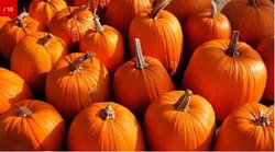 क्या डायबिटीज के मरीज कर सकते हैं कद्दू का सेवन, एक्सपर्ट से जानिये