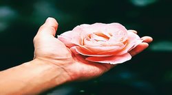 श्रम और पुरुषार्थ