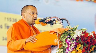 up election, bjp brahman