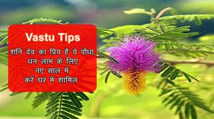 vastu tips, vastu tips for home, vastu tips for home entrance, vastu shastra, vastu ke upay, vastu, vastu tips for office,