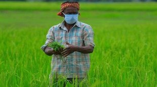 PM Kisan Samman Nidhi, PM Kisan Farmers Producer Organization