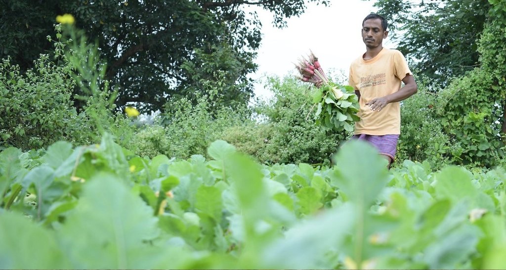 pm kisan, pm kisan samman nidhi, pm kisan 10th installment,