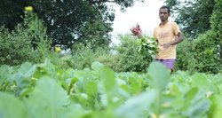 PM Kisan : किसानों के अकाउंट में नहीं आई किसान सम्मान निधि की 10वीं किस्त, इस तारीख को सभी के खाते में हो जाएंगी ट्रांसफर