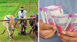pm kisan, pm kisan samman nidhi, pm kisan 10th installment, pm kisan beneficiary,
