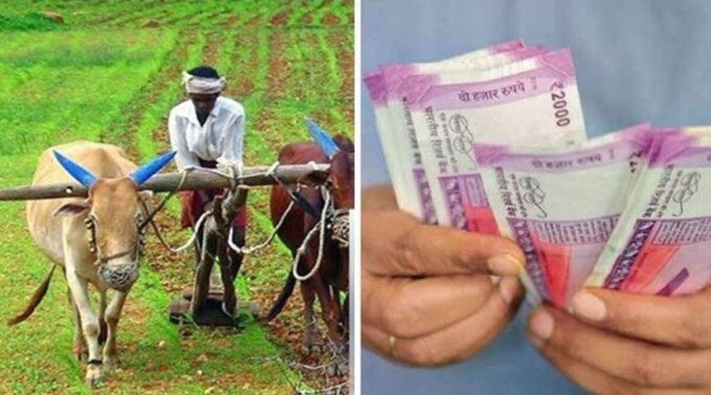 pm kisan, pm kisan samman nidhi, pm kisan 10th installment, pm kisan beneficiary,