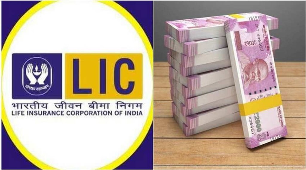 Life Insurance Corporation of India, LIC, Investment, Maturity,