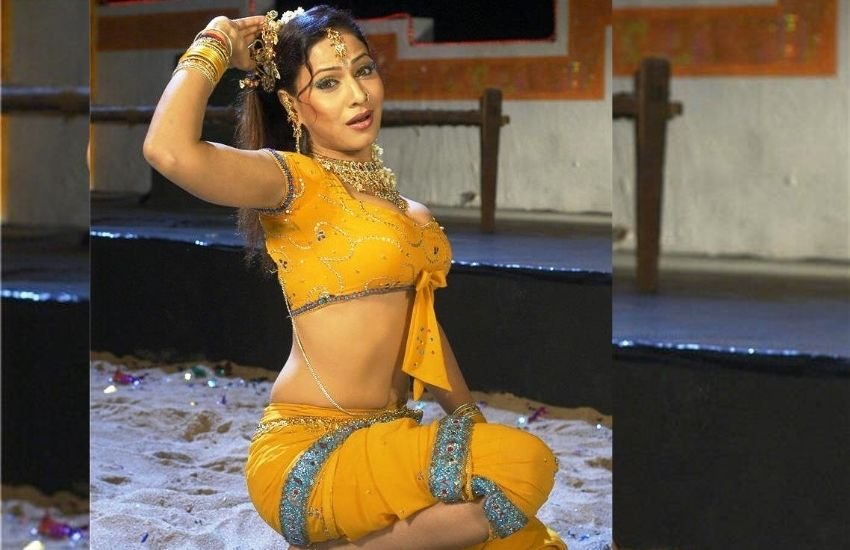 एक्ट्रेस पाखी हेगड़े भोजपुरी ही नहीं, मराठी फिल्म 'सत ना गत' में लीड भूमिका निभा चुकी है। पाखी बॉलीवुड के महानायक अमिताभ बच्चन के साथ फिल्म 'गंगा देवी' में भी काम कर चुकी हैं।