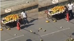 कार से टकराया ठेला तो भड़की महिला ने सड़क पर फेंक दिए फल, कुमार विश्वास ने किया कमेंट