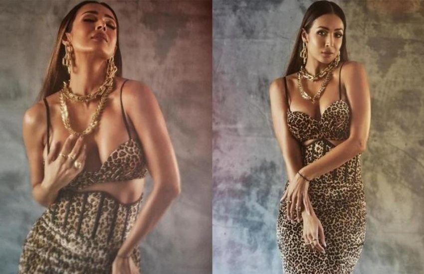 मलाइका अरोड़ा 48 की उम्र में भी बॉलीवुड न्यूकमर एक्ट्रेसेस को टक्कर देती हैं, लेकिन मलाइका के फिल्मी करियर की बात करें तो केवल तीन आइटम सांग ही उनके फेमस रहे। उनकी किसी फिल्म में दमदार एक्टिंग देखने को नहीं मिली। बावजूद इसके वह हमेशा लाइमलाइट में रहती हैं। Photos: Social Media