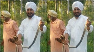 Punjab CM Snake Photo, Chhnai Viral Photo