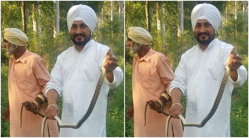 Punjab CM Snake Photo, Chhnai Viral Photo