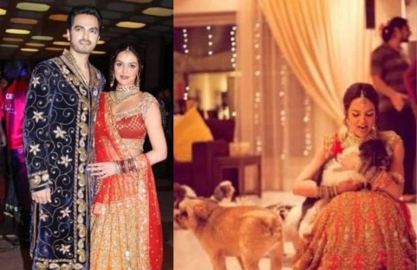 ईशा ने अपनी शादी और प्री वेडिंग की तस्वीरें शेयर की हैं। ईशा इसमें अपने डॉगी को प्यार करते नजर आ रही हैं। संगीत की इन तस्वीरों में ईशा अपने पति भरत तख्तानी के साथ नजर आई हैं।