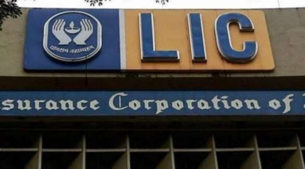 LIC Policy Plan