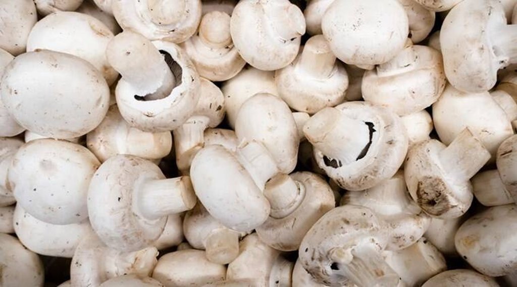 चमकीली खोल में कचरे का सामान