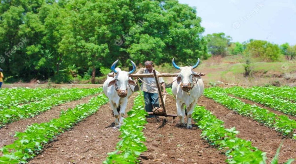 PM Kisan News