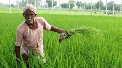 PM Kisan योजना के तहत अगर आप भी पाना चाहते हैं सालाना 42,000 रुपये, तो जल्‍दी करें यह काम
