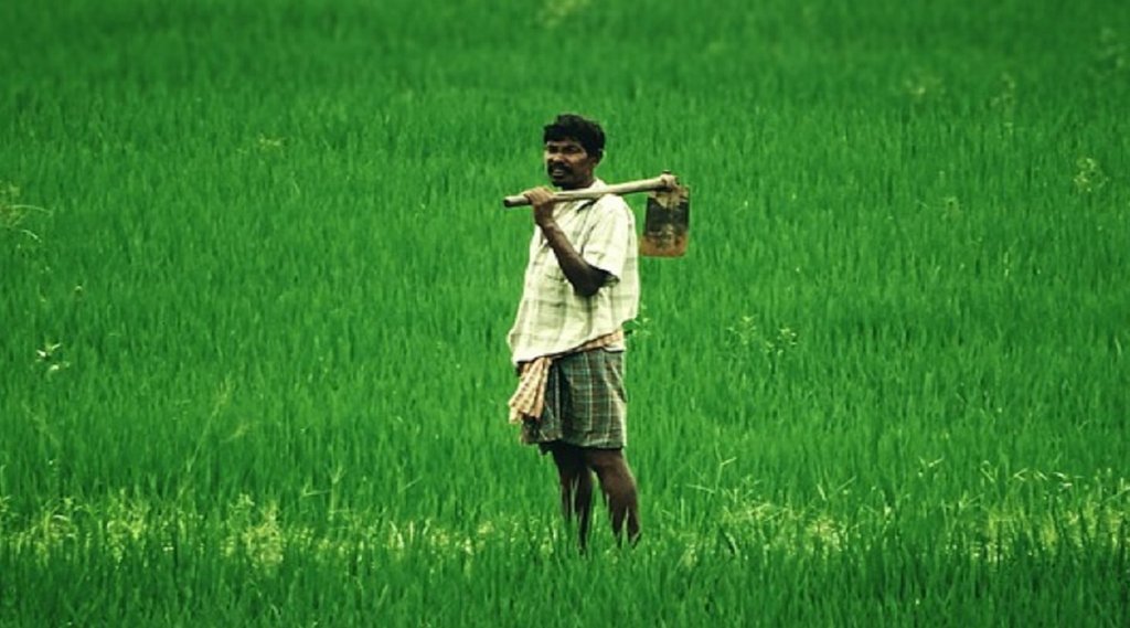 PM Kisan योजना के तहत स्‍टेटस को लेकर नियम में हुआ बदलाव, अब मोबाइल नंबर की नहीं होगी जरुरत (File Photo)