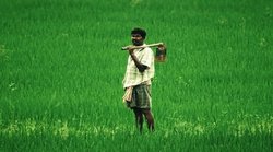 PM Kisan योजना के तहत स्‍टेटस को लेकर नियम में हुआ बदलाव, अब मोबाइल नंबर की नहीं होगी जरुरत