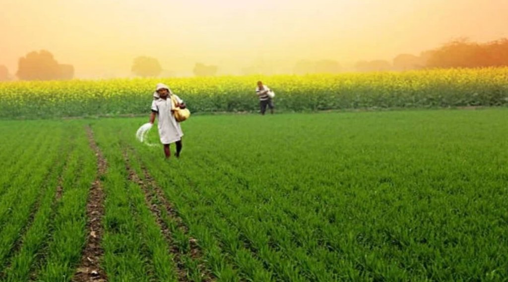 PM Kisan की वेबसाइट पर नहीं हो पा रही e-KYC? जानें वजह और सही तरीका (File Photo)