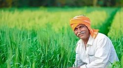 PM Kisan योजना का लाभ लेने वाले किसानों को मिलता है कम ब्याज पर लोन, जानिए कैसे उठा सकते हैं फायदा