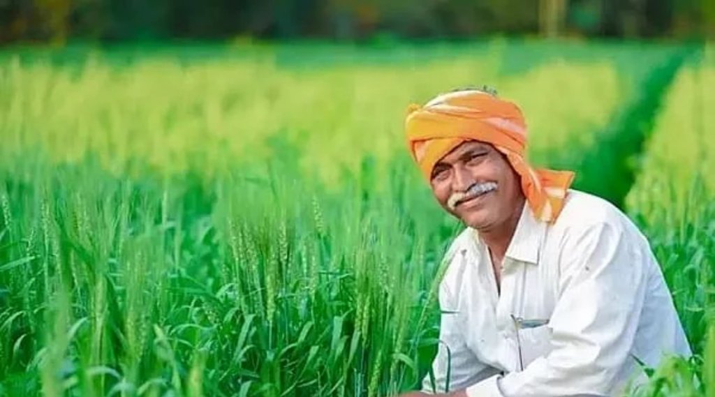 कई किसानों के खाते में क्यों नहीं पहुंची PM Kisan Scheme की 10वीं किस्‍त? जानें वजह (File Photo)