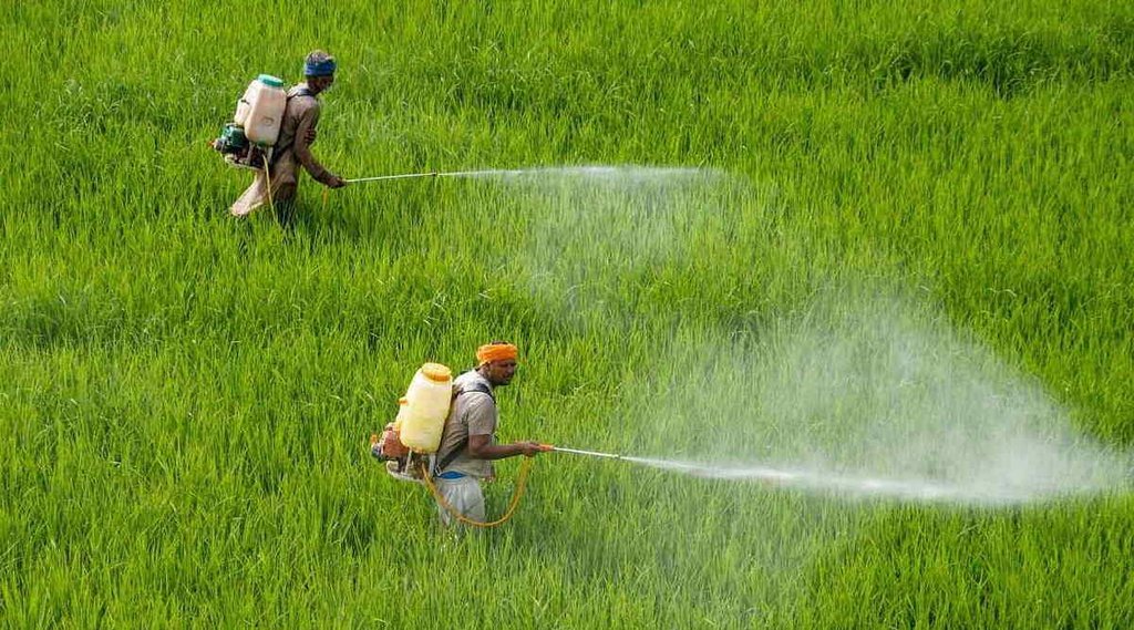 PM Kisan योजना के दस्‍तावेज में हुआ बदलाव, अगर नहीं किया यह काम तो नही आएगा योजना का पैसा (File Photo)