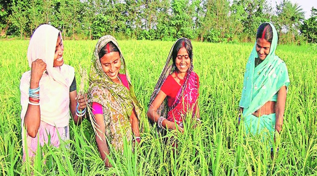 आपसदारी की हरियाली
