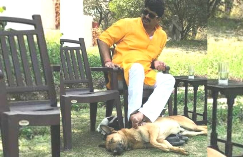 राजा भैया से पहले कुंडा सीट पर कांग्रेस के नियाज हसन का डंका बजता था। हसन 1962 से लेकर 1989 तक कुंडा से पांच बार विधायक रहे थे।