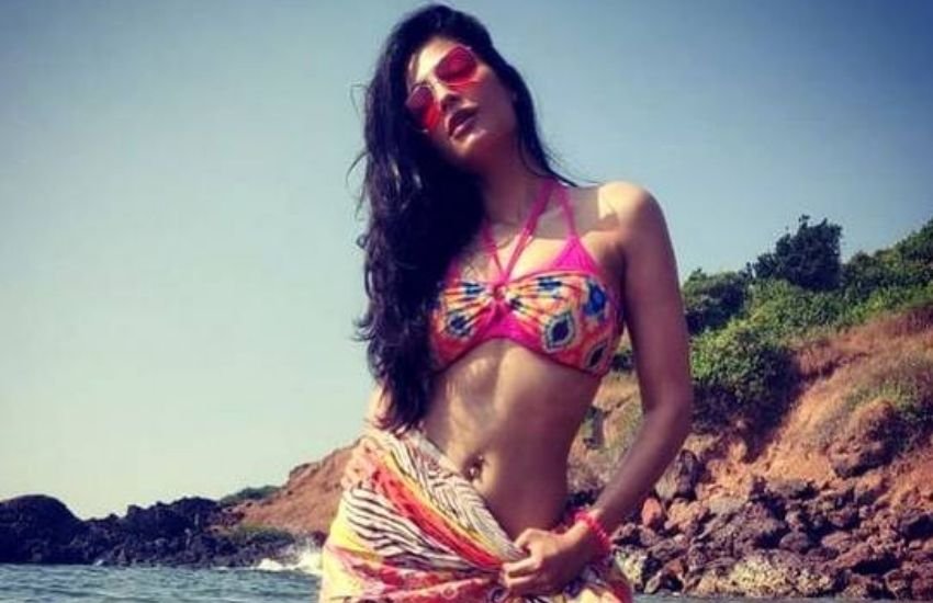 बता दें कि उनकी वेब सीरीज बेस्टसेलर 18 फरवरी को रिलीज होगी। इससे पहले श्रुति यूएसए नेटवर्क की वेब सीरिज 'ट्रेडस्टोन' में भारतीय महिला का किरदार निभा चुकी हैं। Photos: Social Media