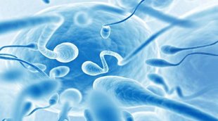 Turkish businessman claims his sperm stolen, HST, In Vitro Fertilization, Sperm